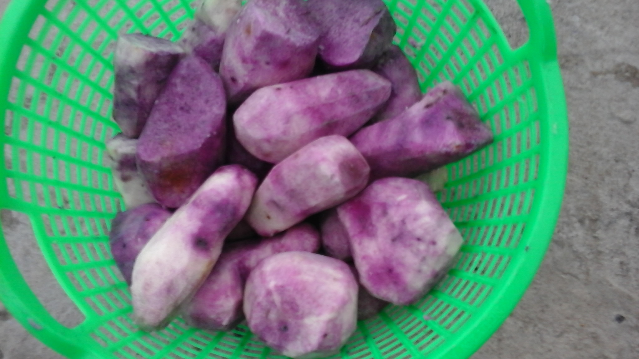 PURPLE YAM