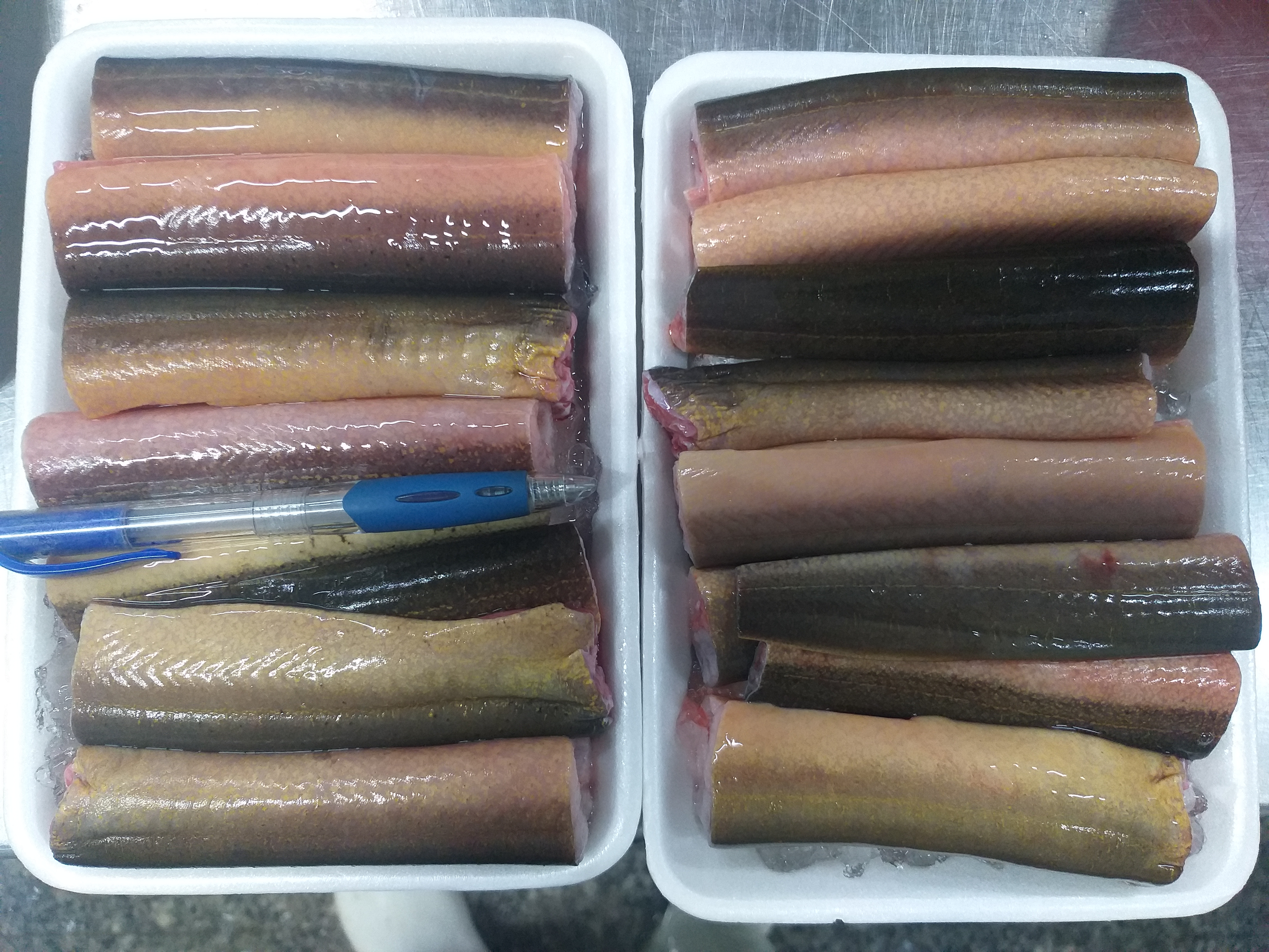 FROZEN EEL ( FRESH WATER EEL )