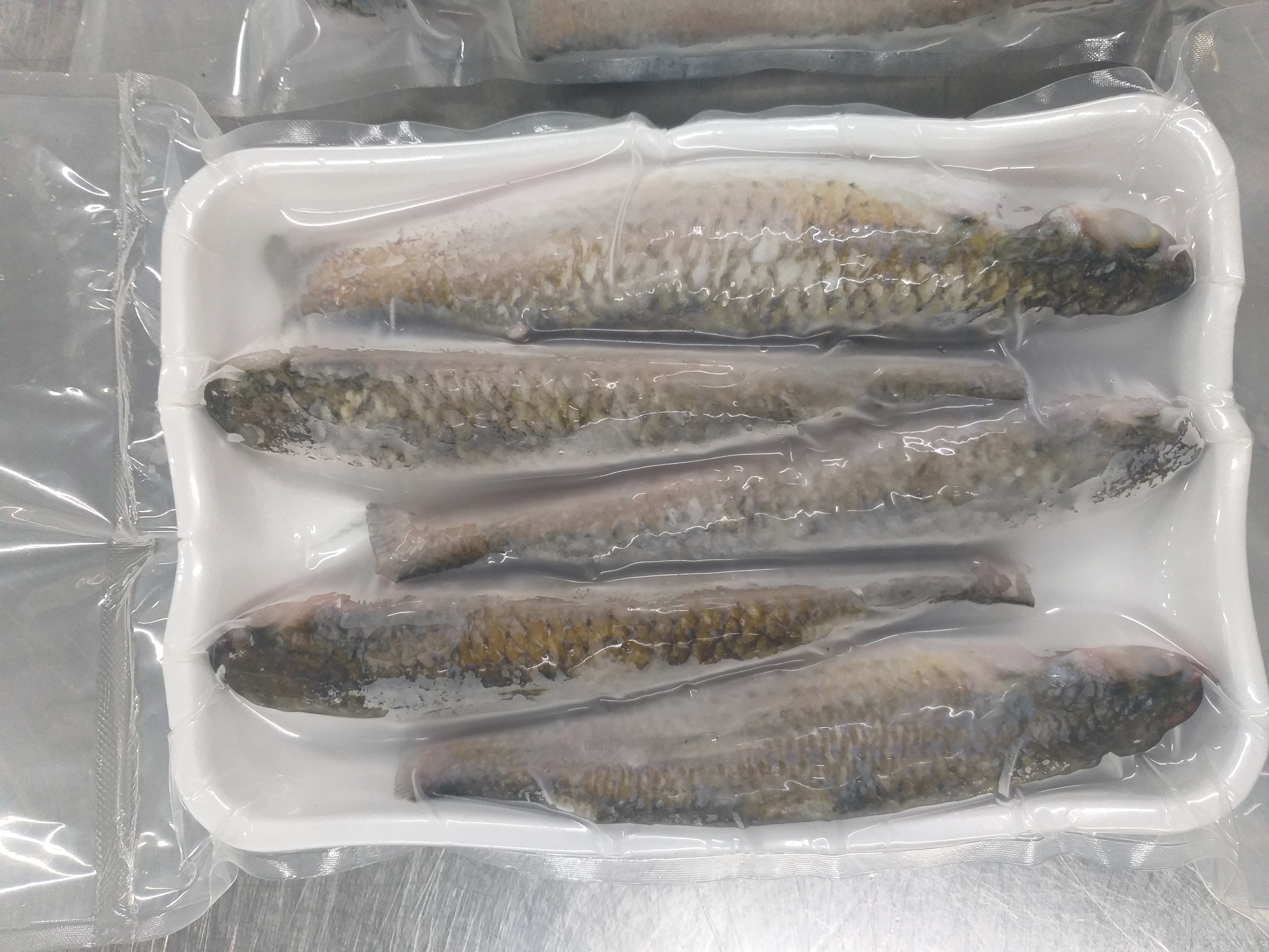 FROZEN MULLET WHOLE & WHOLE CLEANED