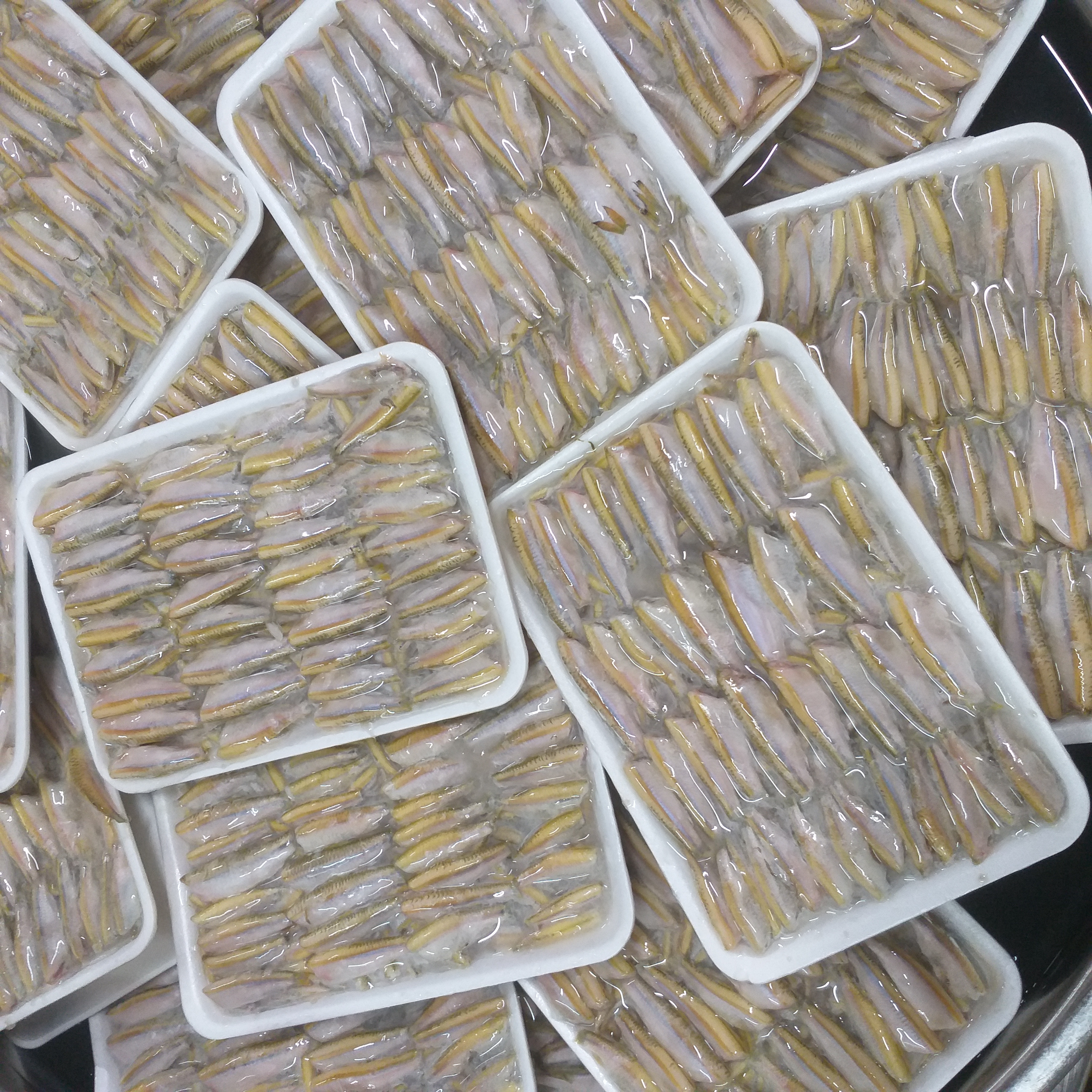 FROZEN SMELT FISH CLEANED