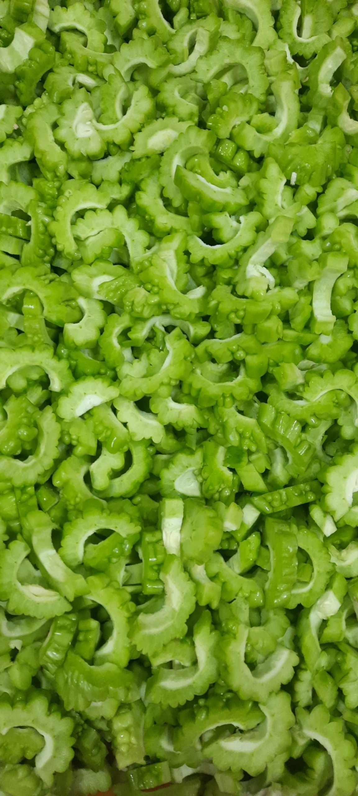 FROZEN BITTER MELON CHUNK & SCLICED