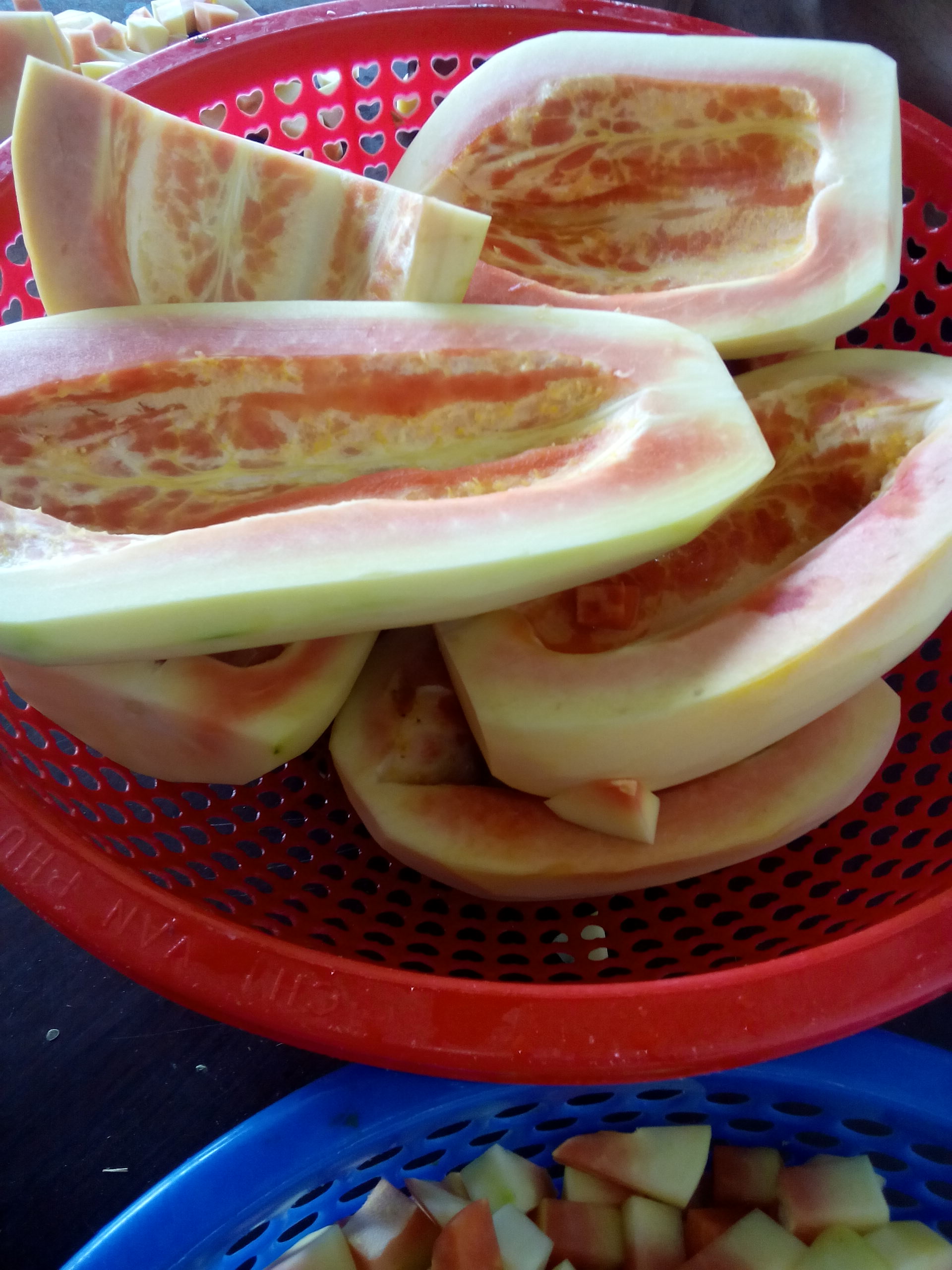 SEMI RIPE PAPAYA