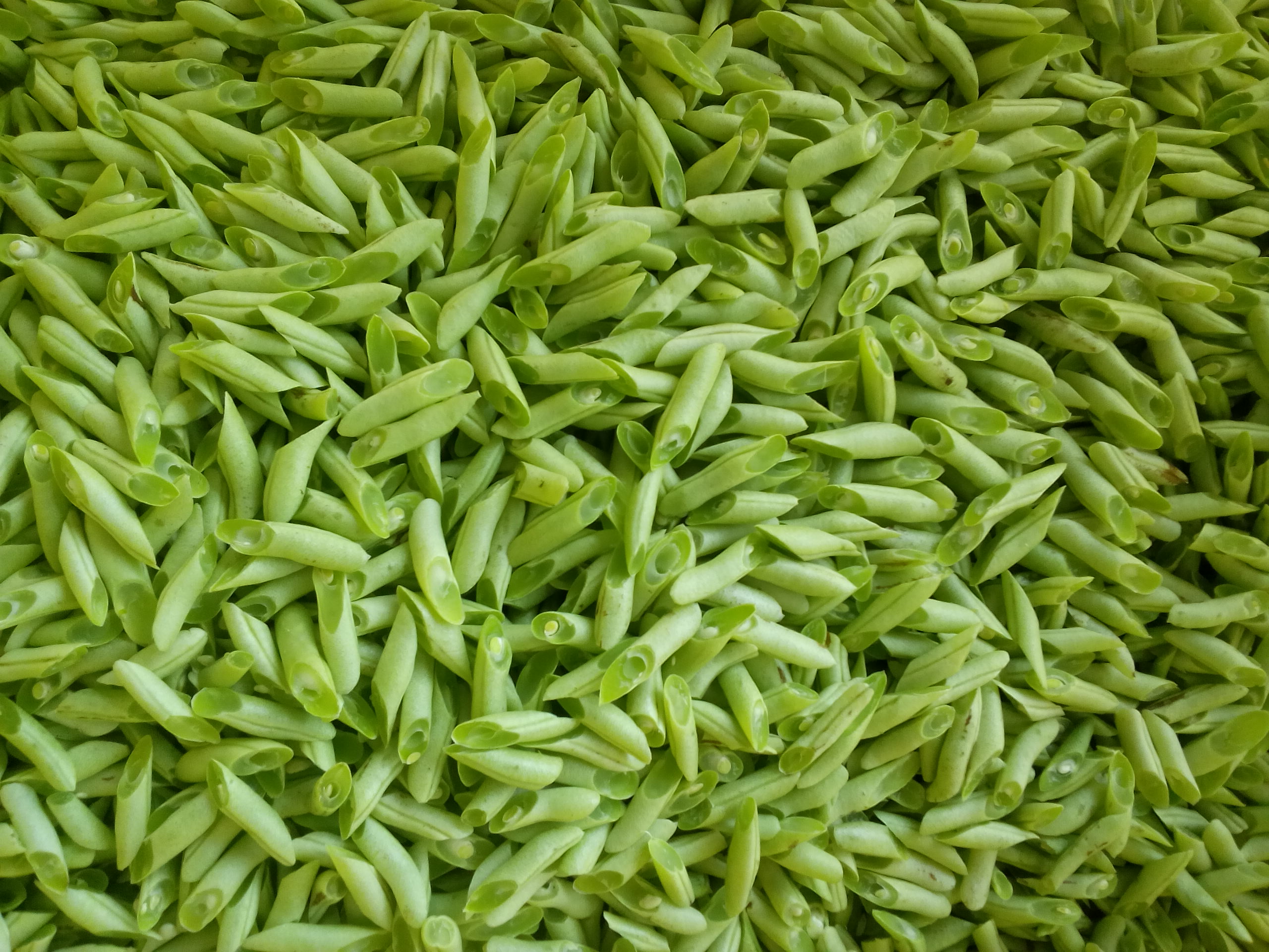SLICED FRENCH BEAN