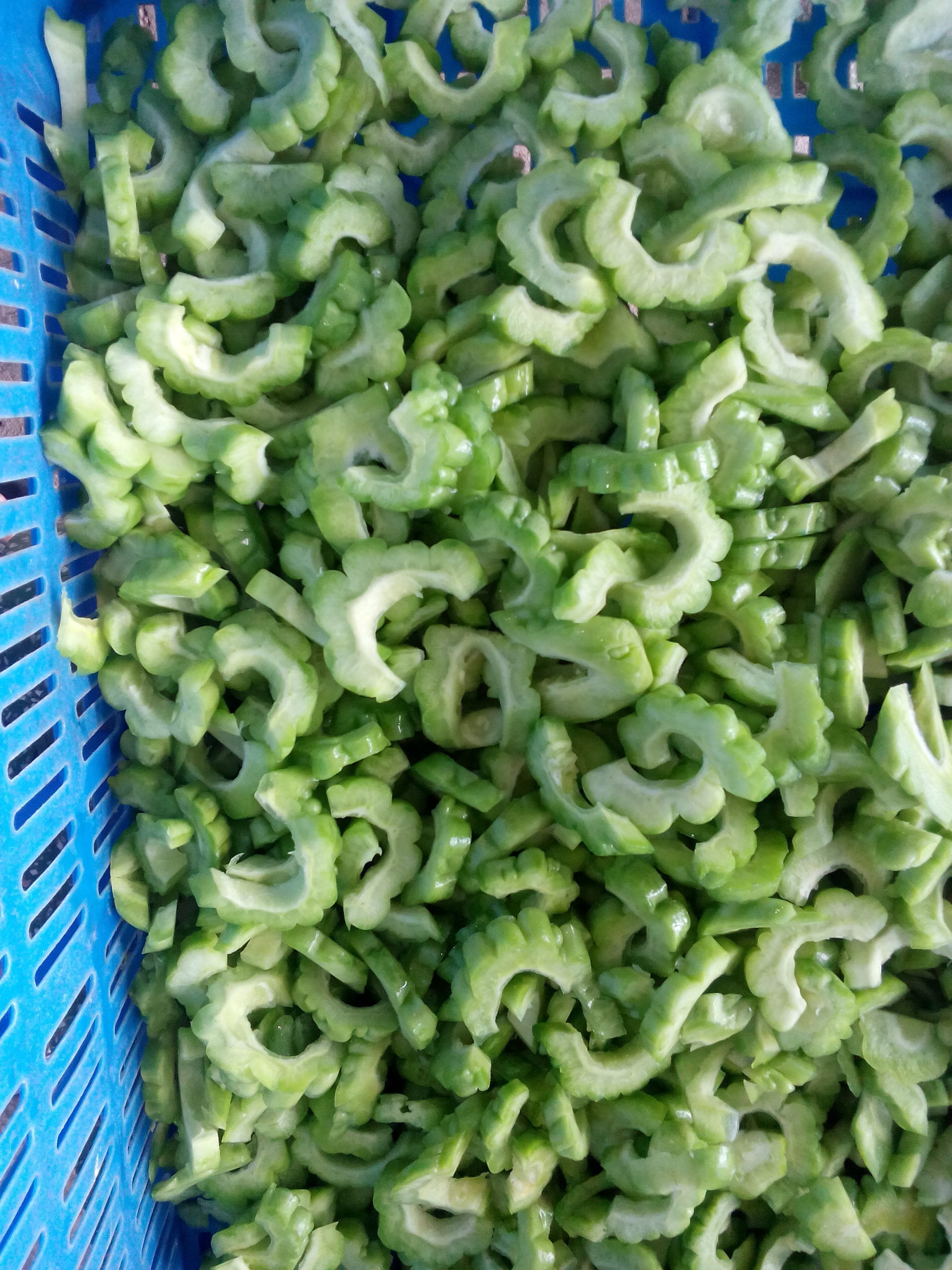 FROZEN BITTER MELON CHUNK & SCLICED
