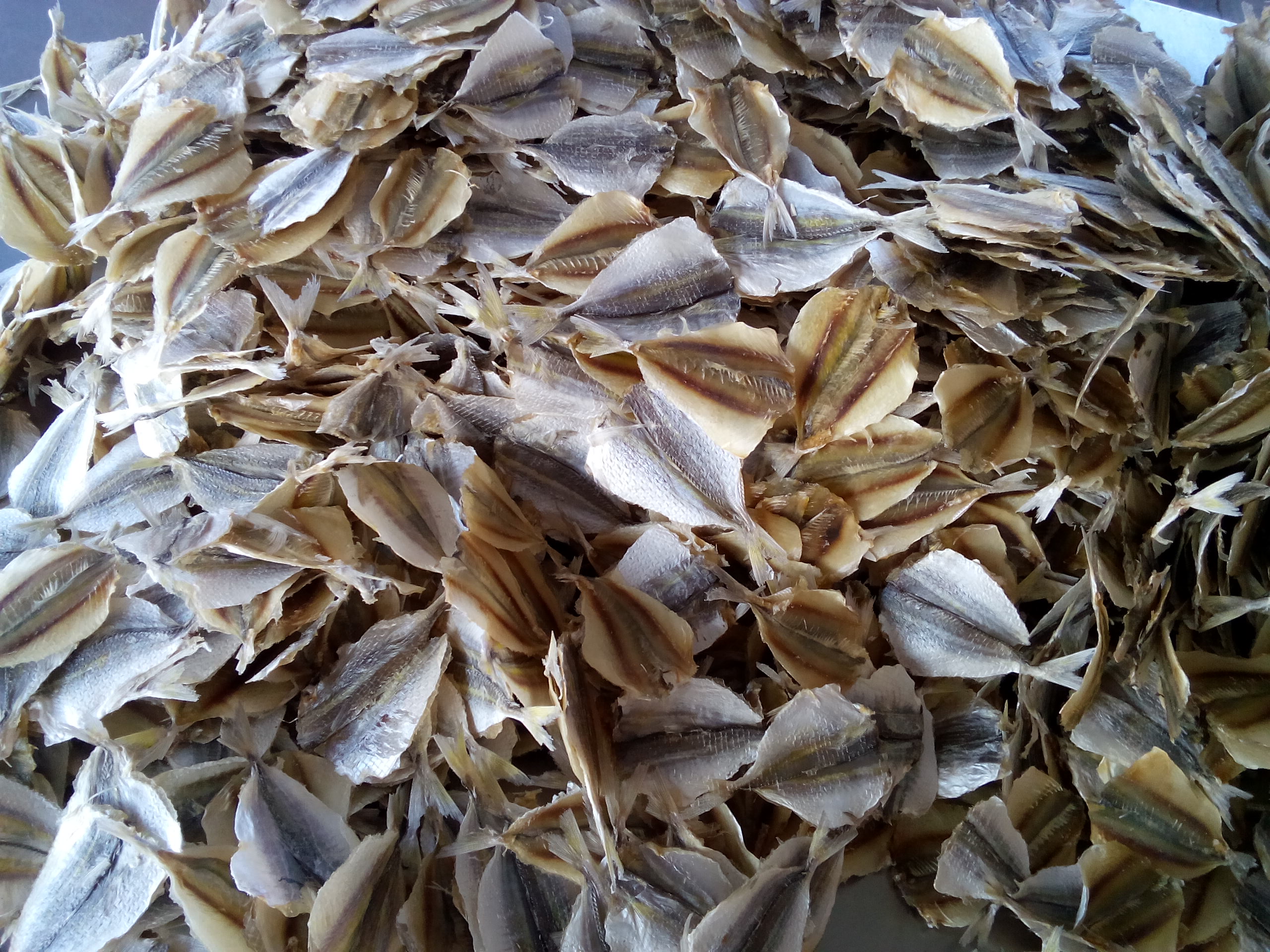 DRIED FISH