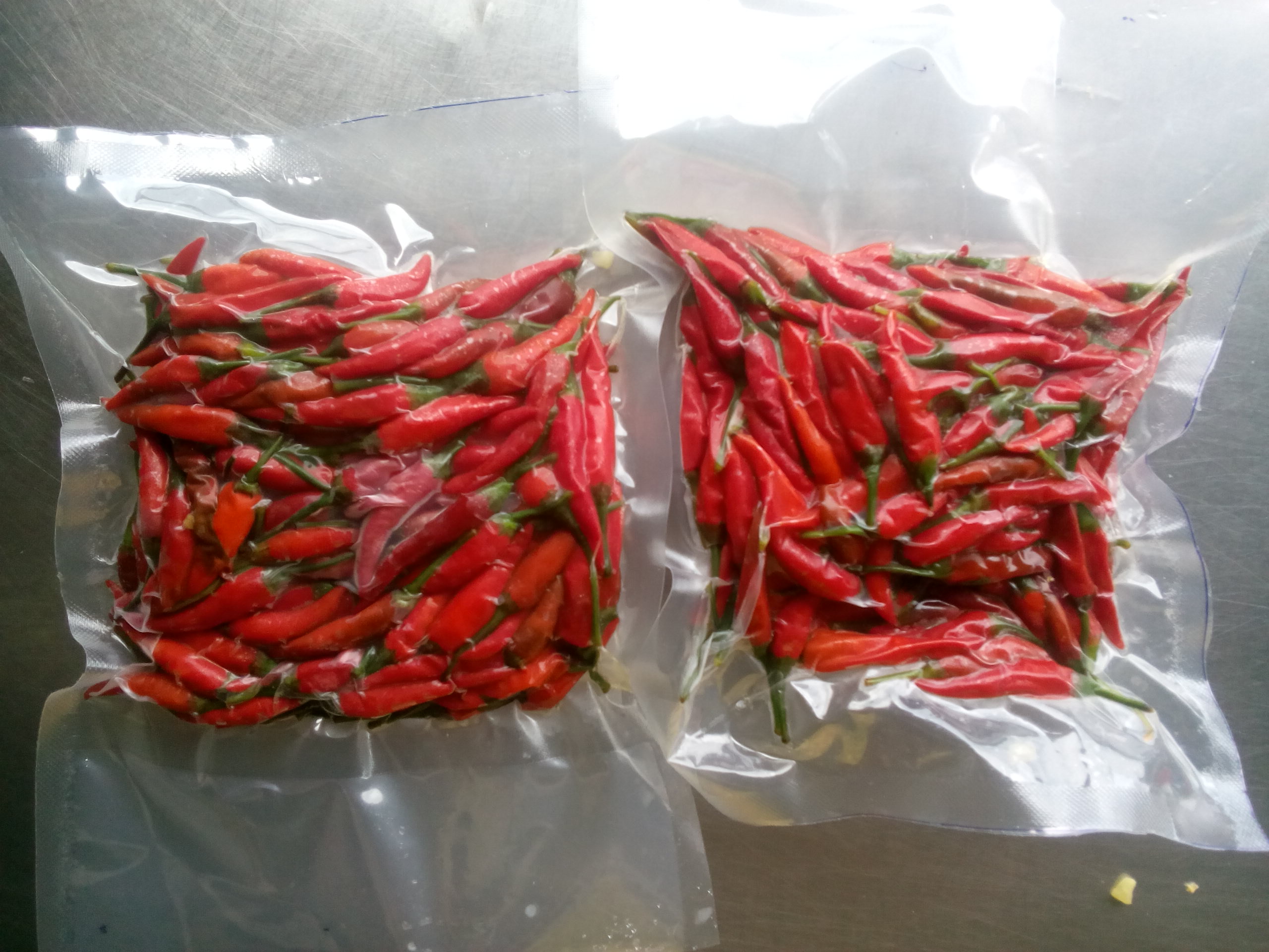 RED HOT CHILLI