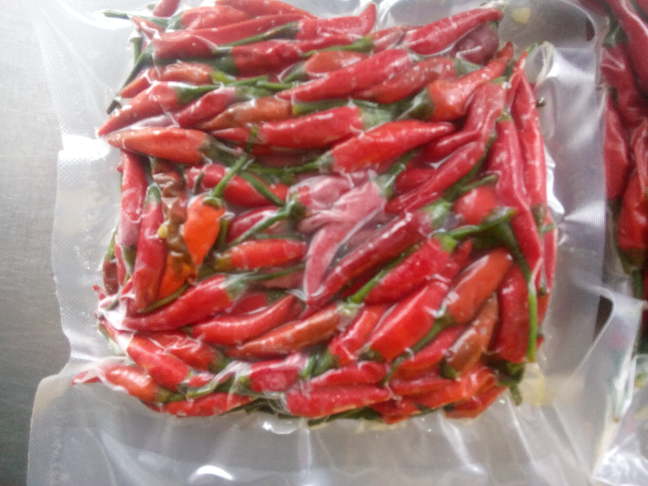 RED HOT CHILLI