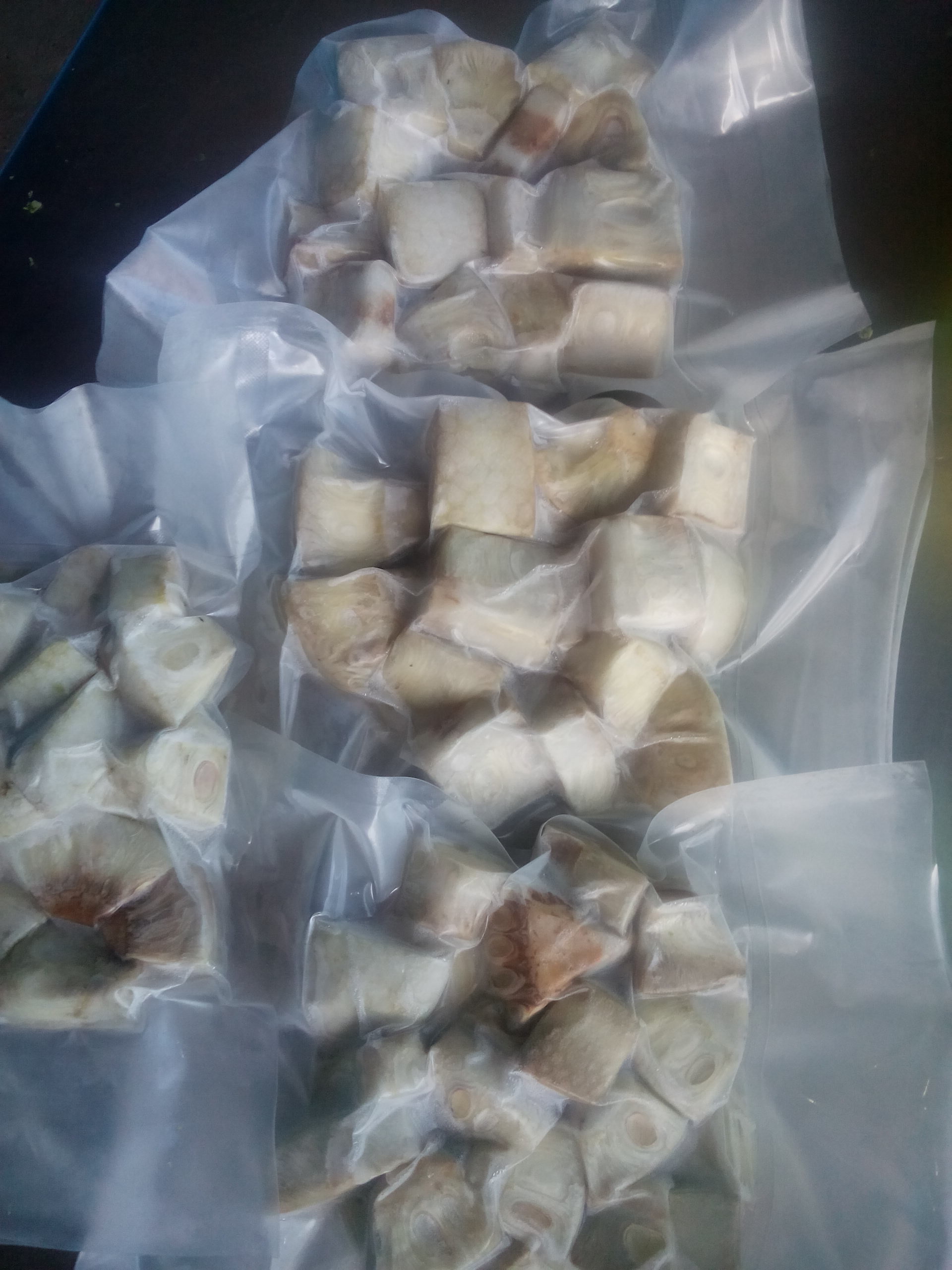 GREEN JACKFRUIT