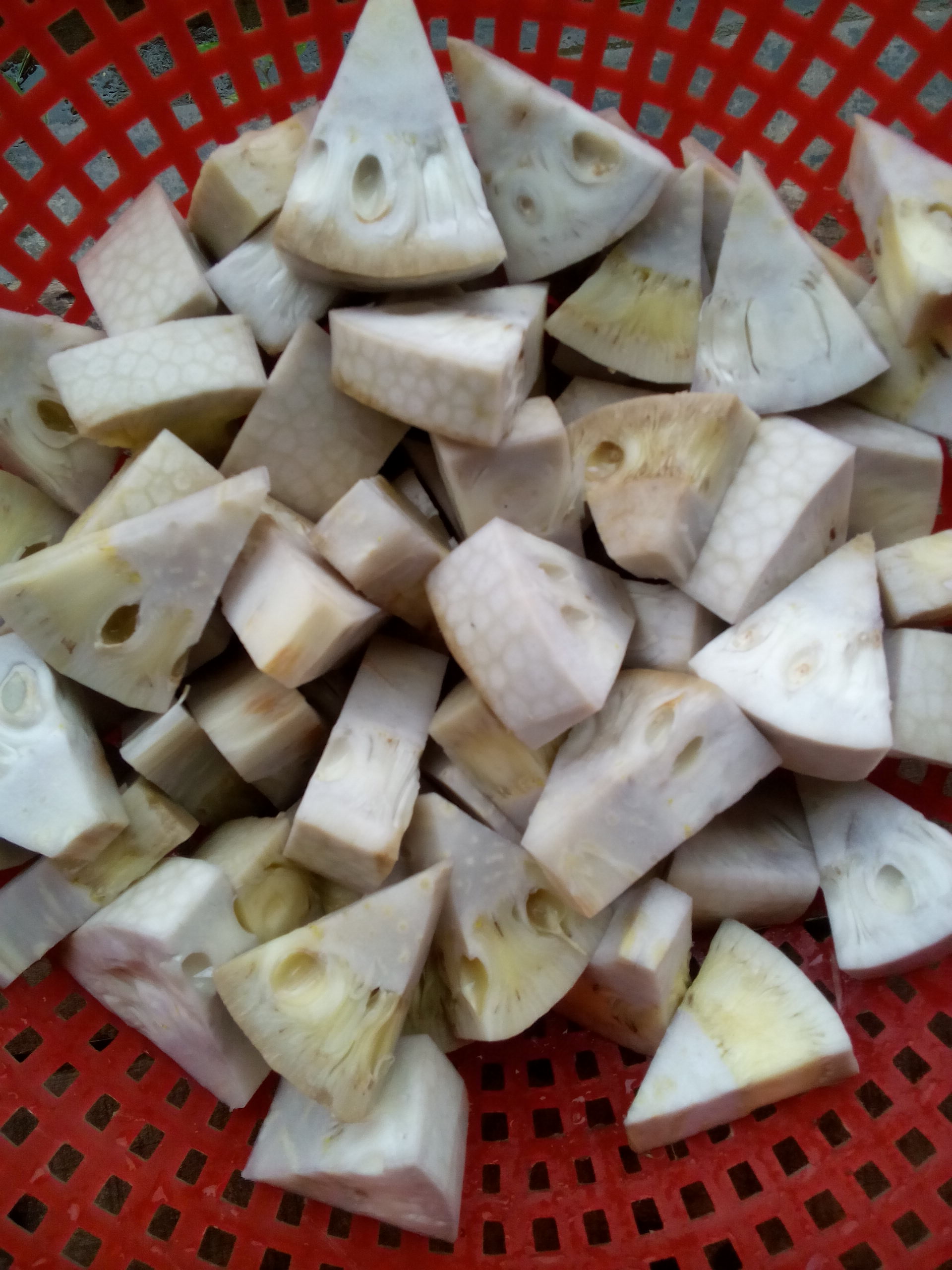 GREEN JACKFRUIT