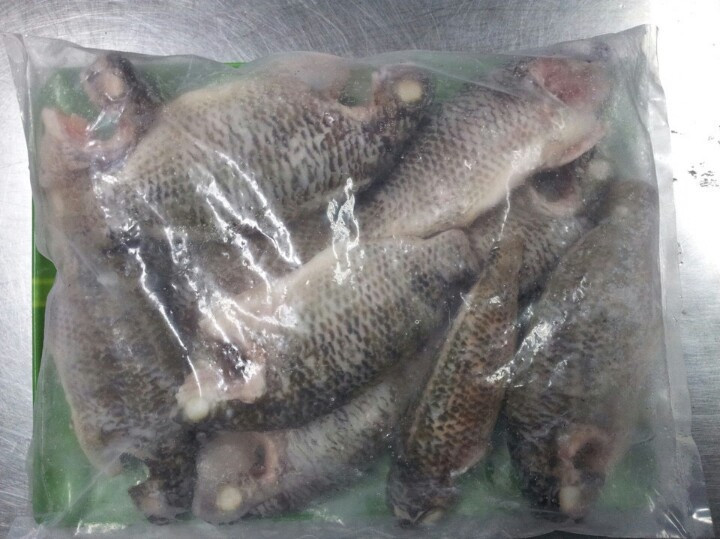WHOLE CLEAN TILAPIA