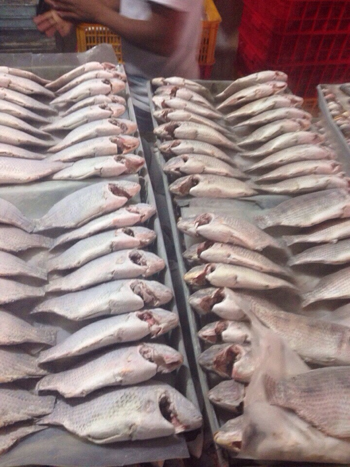 WHOLE CLEAN TILAPIA