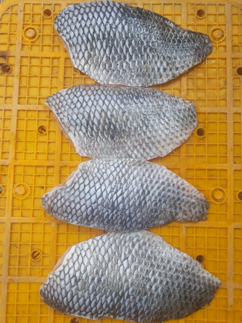 WHOLE CLEAN TILAPIA