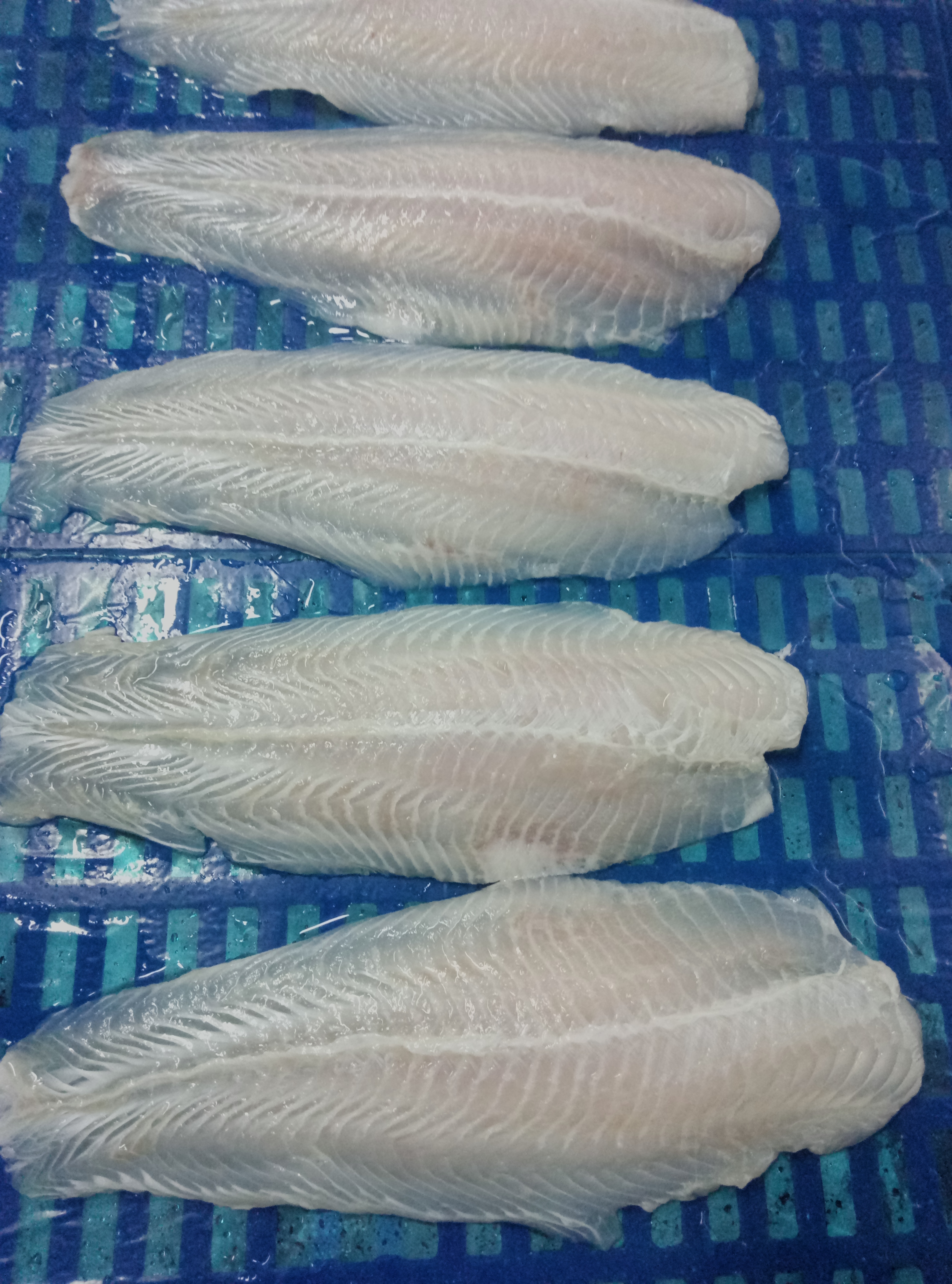FROZEN SEAFOOD